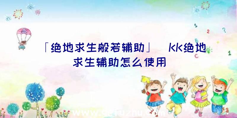 「绝地求生般若辅助」|KK绝地求生辅助怎么使用